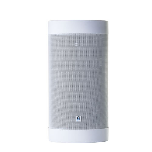 Origin Acoustic Outdoor Speaker