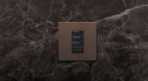 Lutron RadioRA 3 Vierti keypad installed in a luxury home