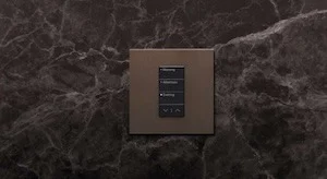 Lutron RadioRA 3 Vierti keypad installed in a luxury home